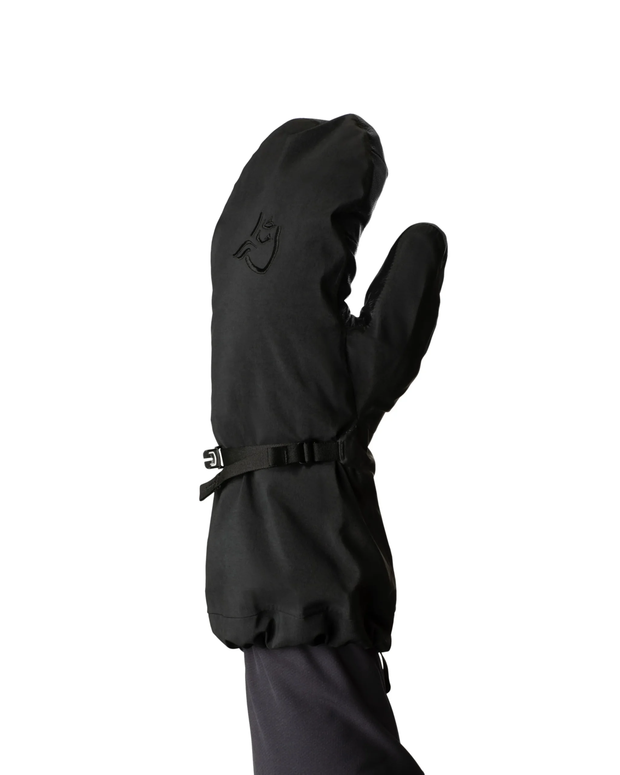 trollveggen Gore-Tex Pro Mittens Unisex